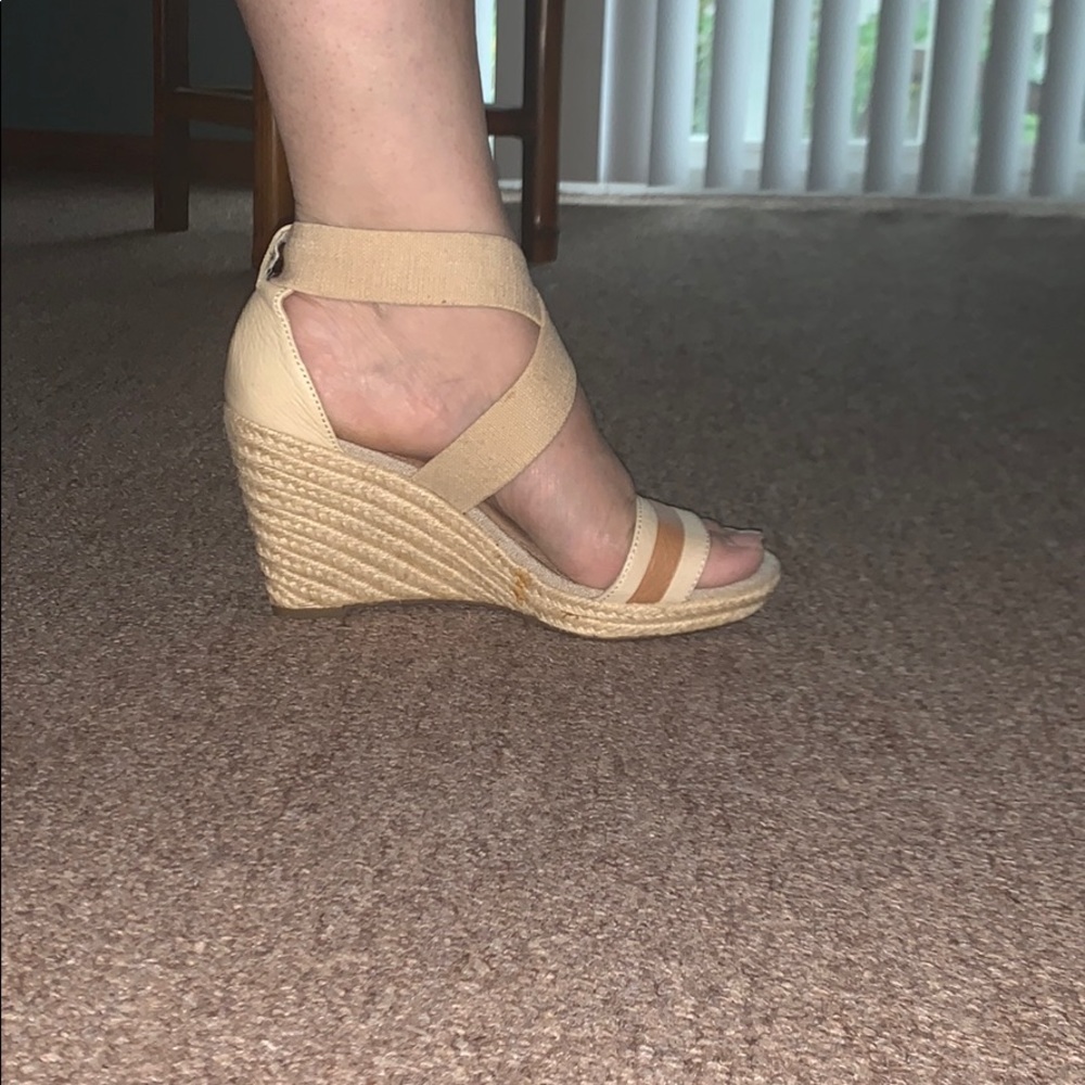 Fossil wedges - Picture 4 of 4